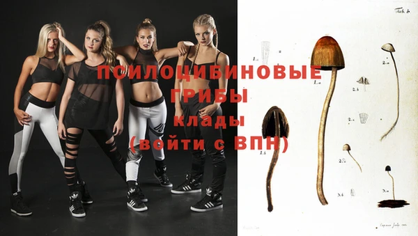 прущие крисы Абинск