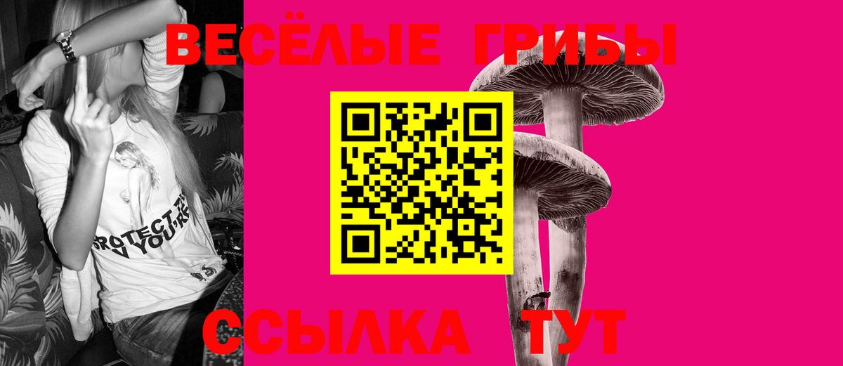 Дубна  Галлюциногенные грибы Psilocybe  Вход с VPN 